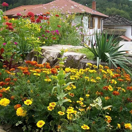 Staroto Shkolo House - For Guests